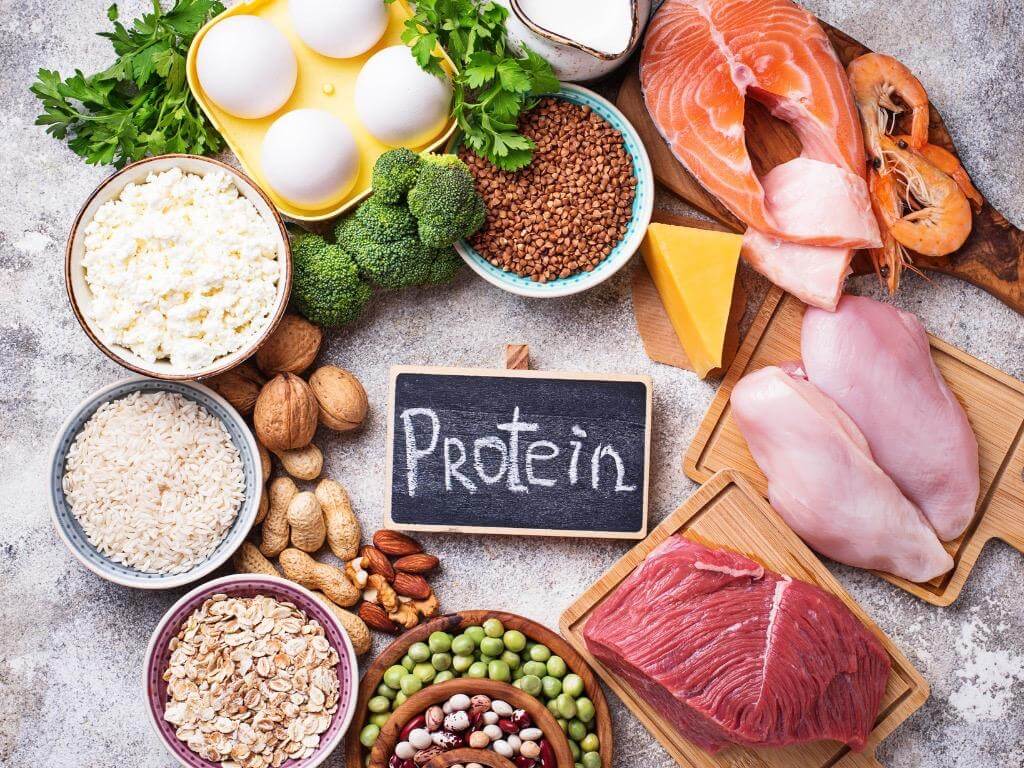 High-protein foods including meat, fish, eggs, legumes, nuts, and vegetables